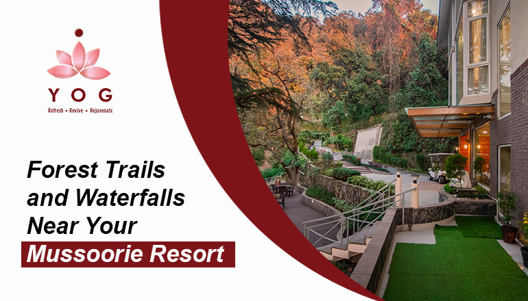 Forest Trails and Waterfalls Near Your Mussoorie Resort